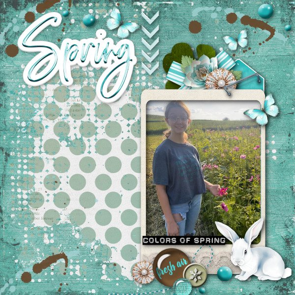 Hop Into Spring Again