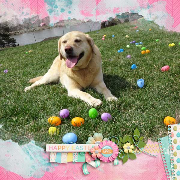 Hop Into Spring