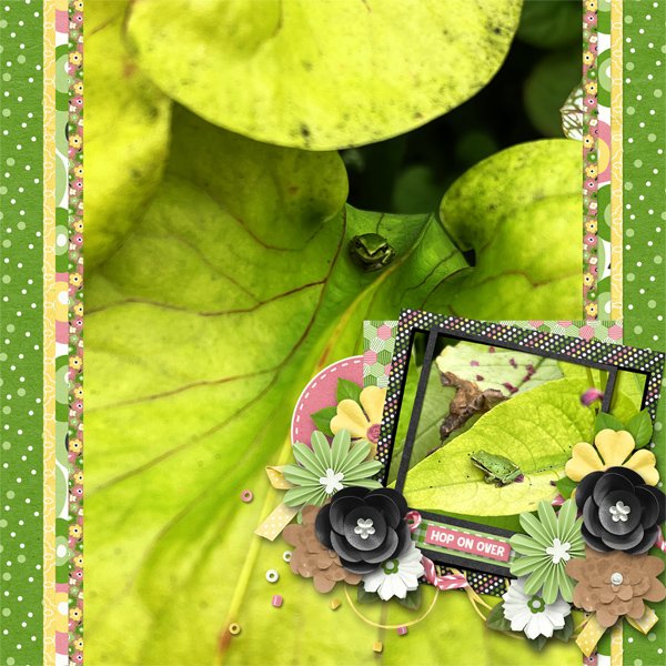 Hop on Over
