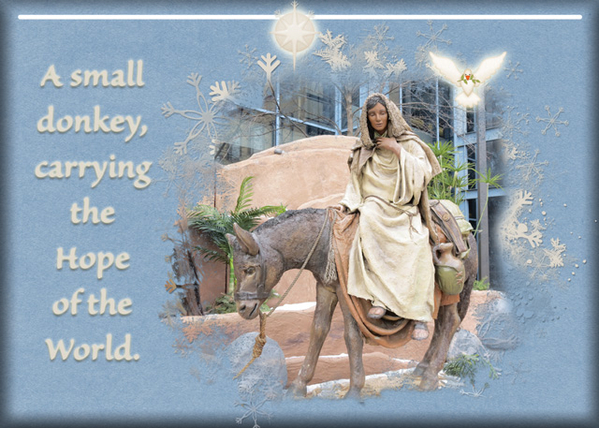 Hope of the World