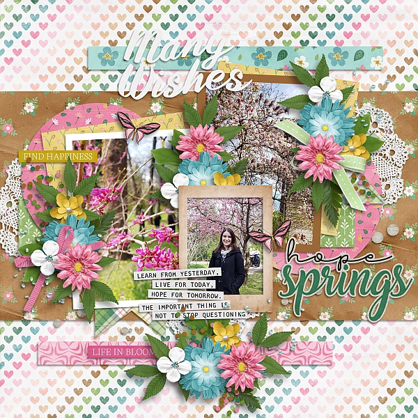 Hope springs