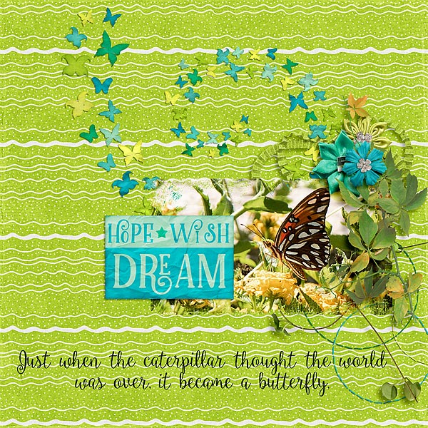 Hope, Wish, Dream