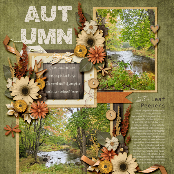 Hopeful Leaf Peepers