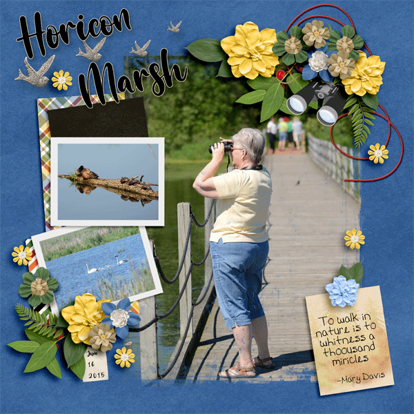 Horicon March boardwalk
