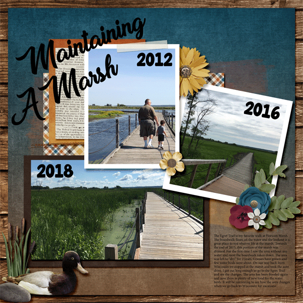 Horicon Marsh