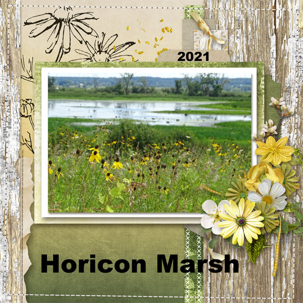 Horicon Marsh
