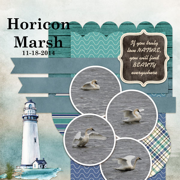 Horicon_Marsh_2014