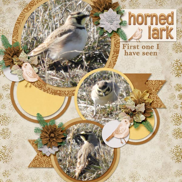 horned_lark-circle_holiday