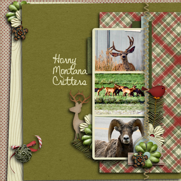 Horney Montana Critters