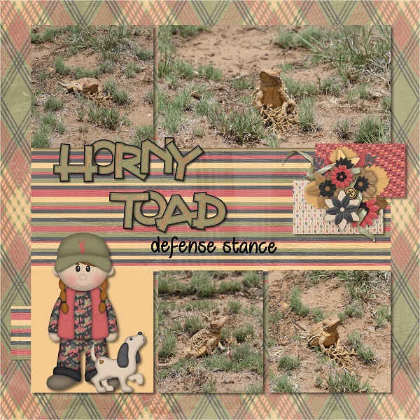 Horny Toad