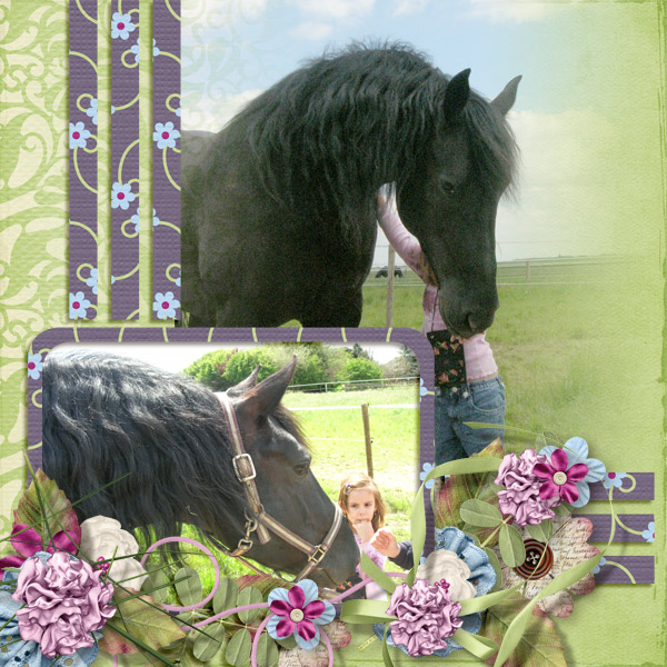 Horse outside