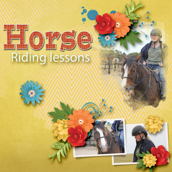 Horse riding lessons