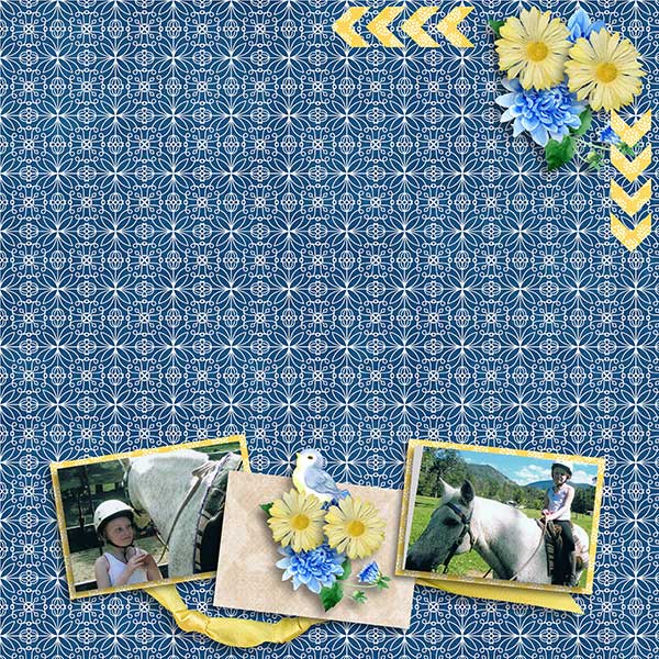 Horse Riding