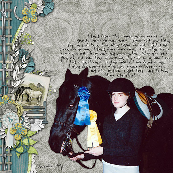 horse show