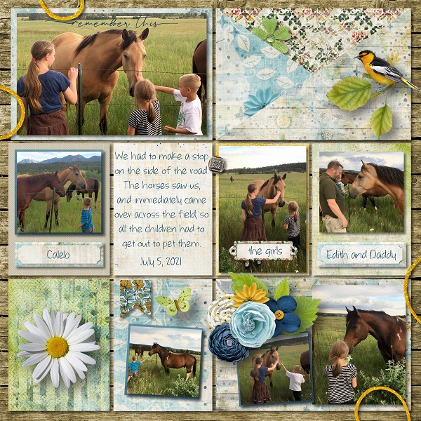 Horse Stop