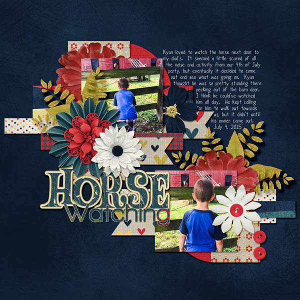 Horse Watching