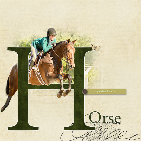 Horse