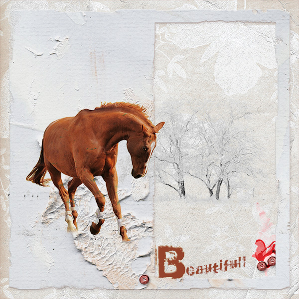 Horse