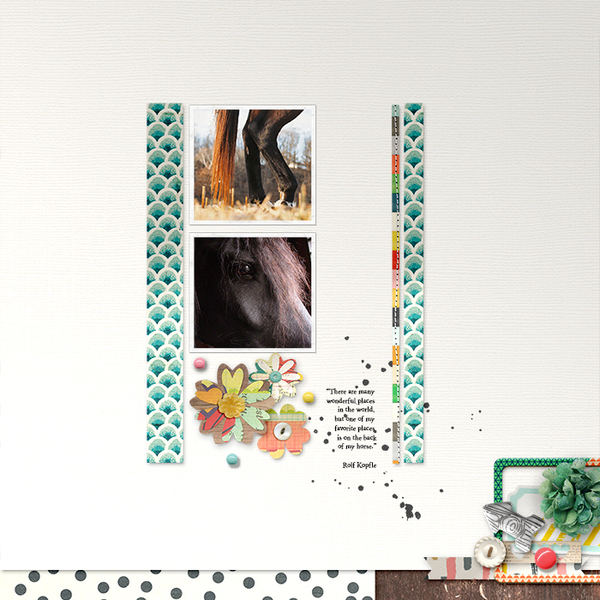 Horse2
