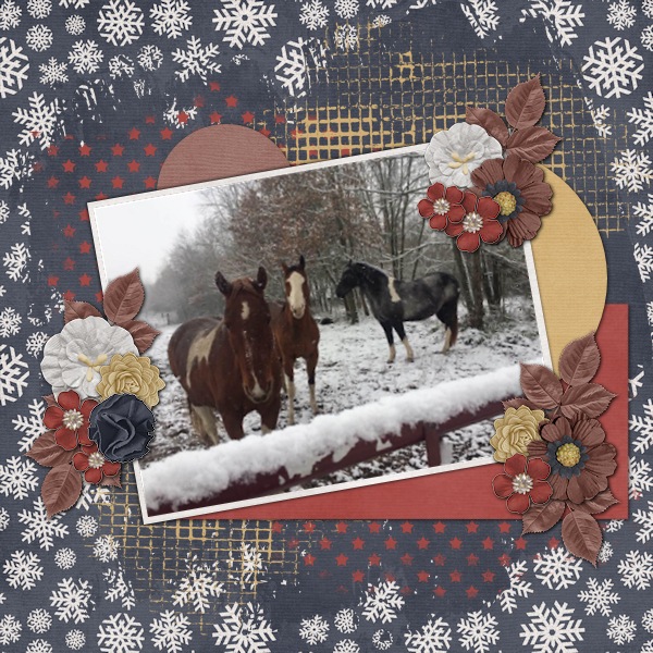 Horses in Snow