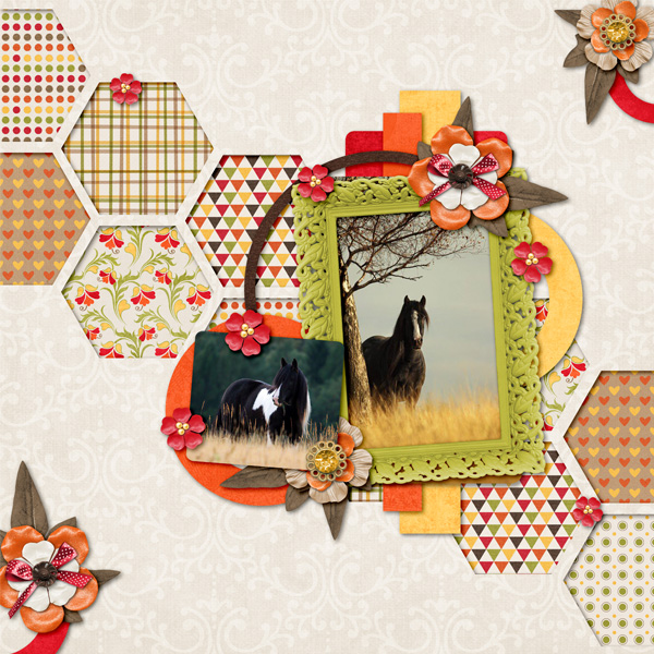 Horses in Tall Grass