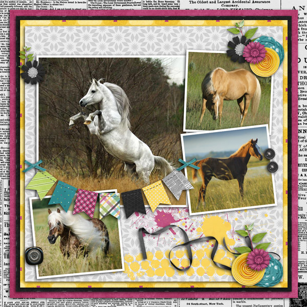 Horses in Tall Grass