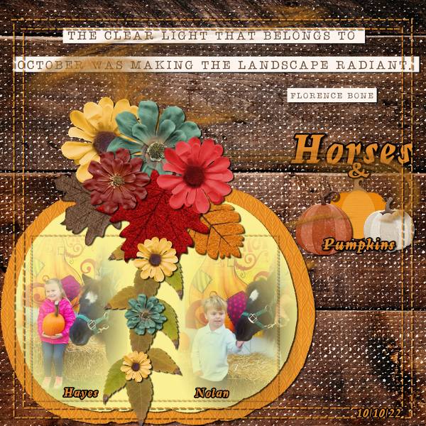 Horses + Pumpkins