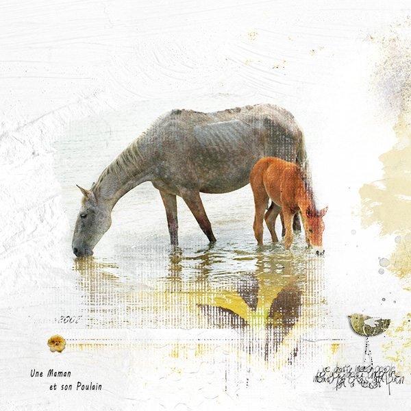 Horses