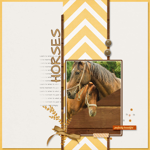 Horses