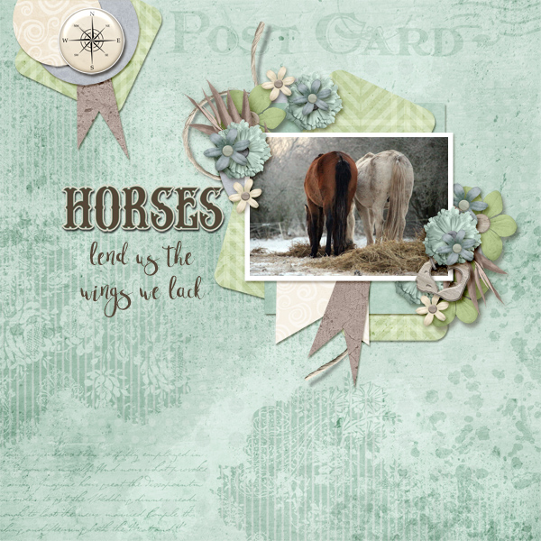 Horses