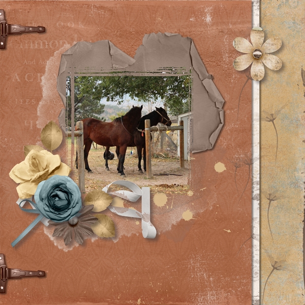 Horses