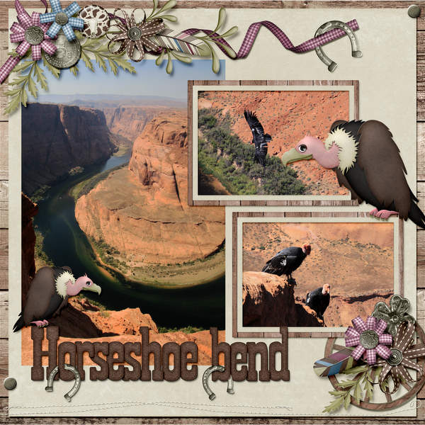 Horseshoe Bend