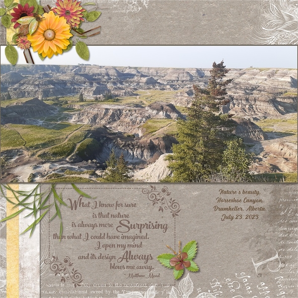 Horseshoe Canyon 2