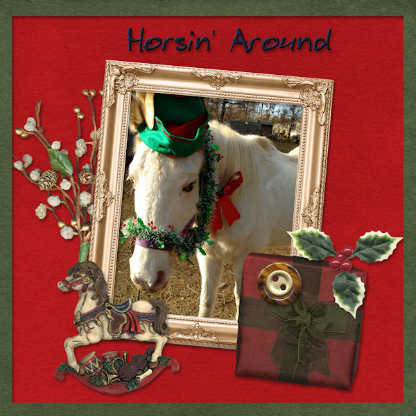 Horsin