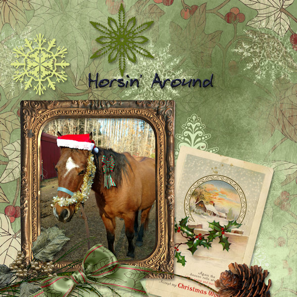 Horsin