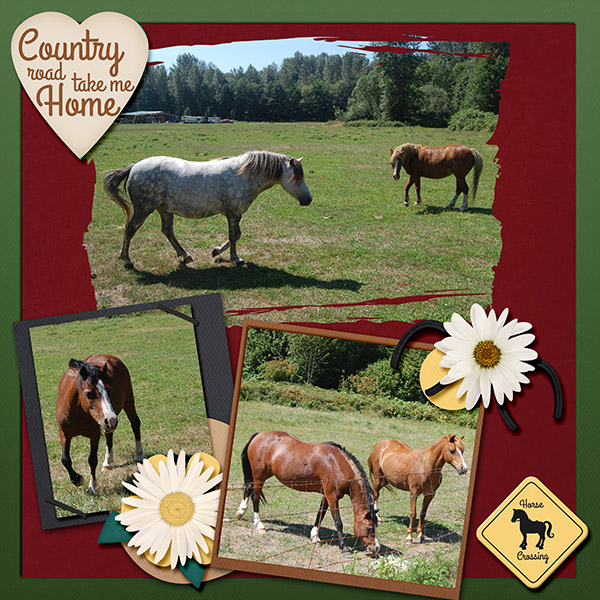 Horsing Around