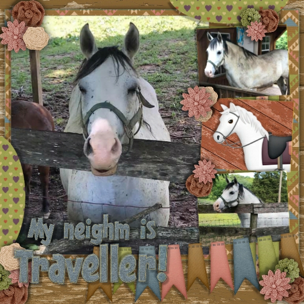 Horsing Around