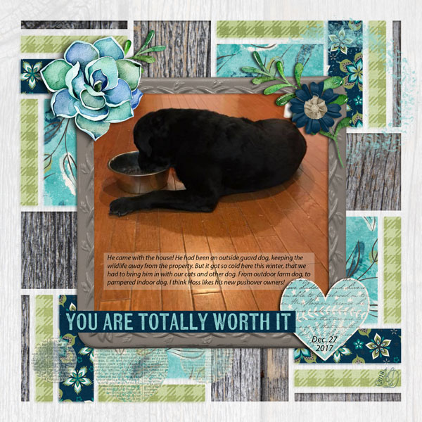 Hoss, the bonus dog