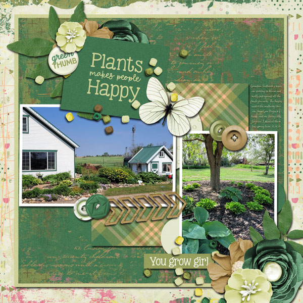 Hostas