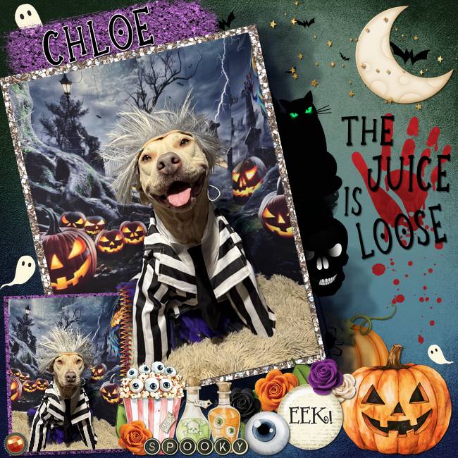 HoundsofHellHalloween2025-002-Page-3.jpg
