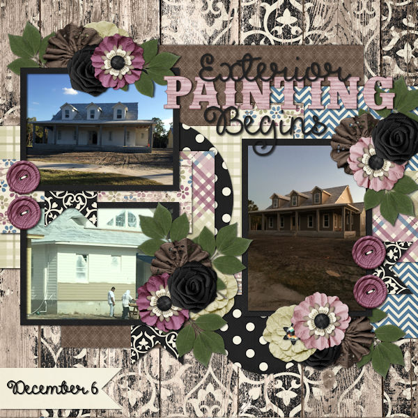 House Painting Dec 2016