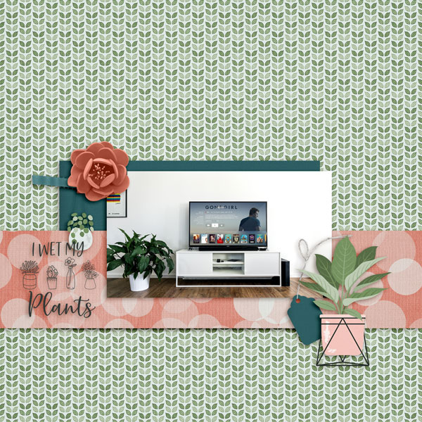 House Plants