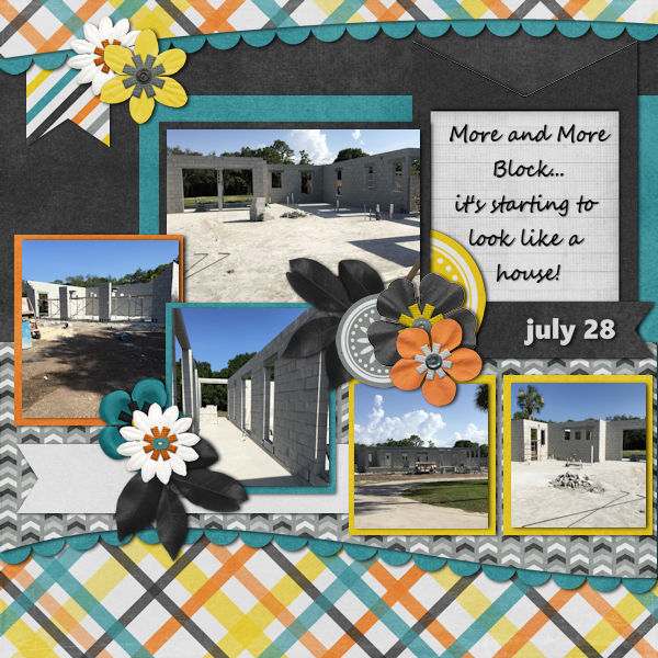 House Progress