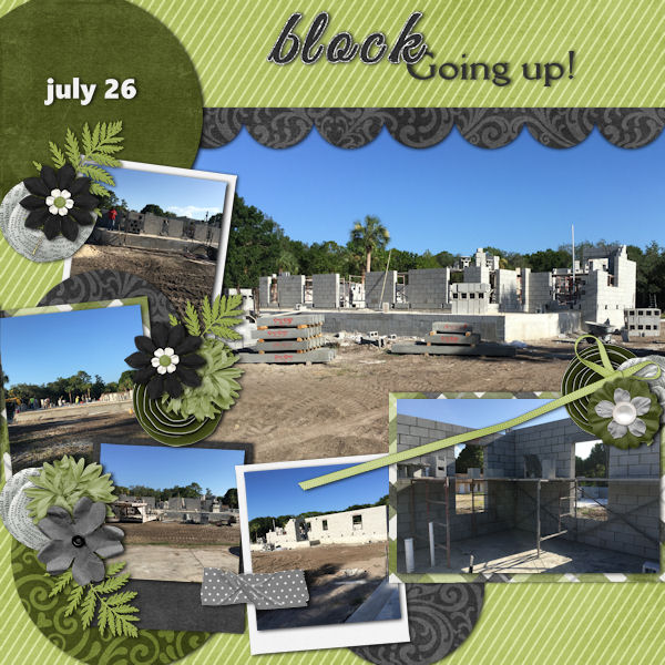 House Progress