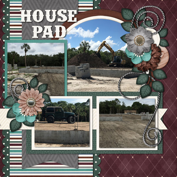 House Progress