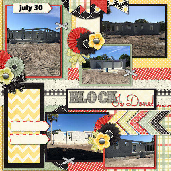 House Progress