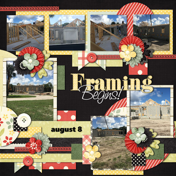 House Progress