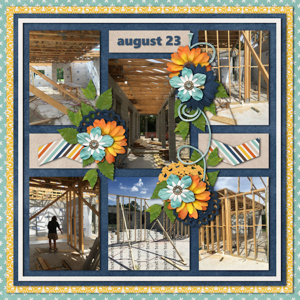House Progress