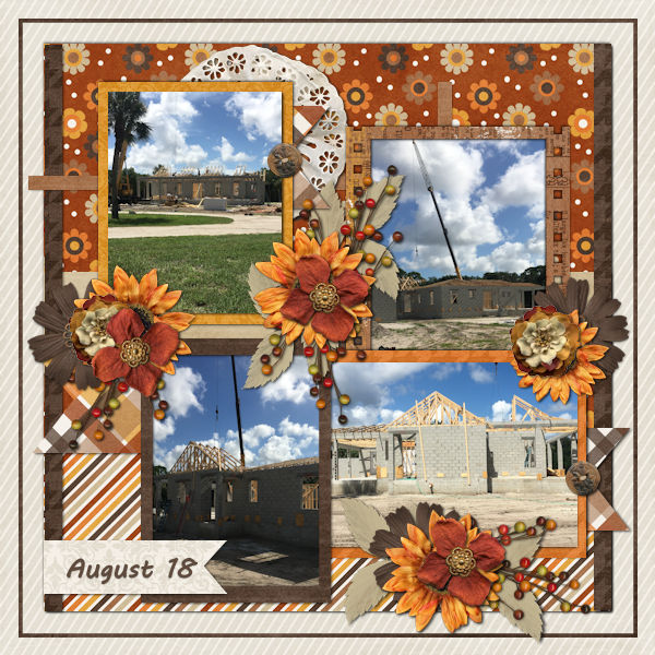 House Progress