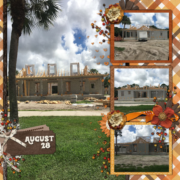 House Progress